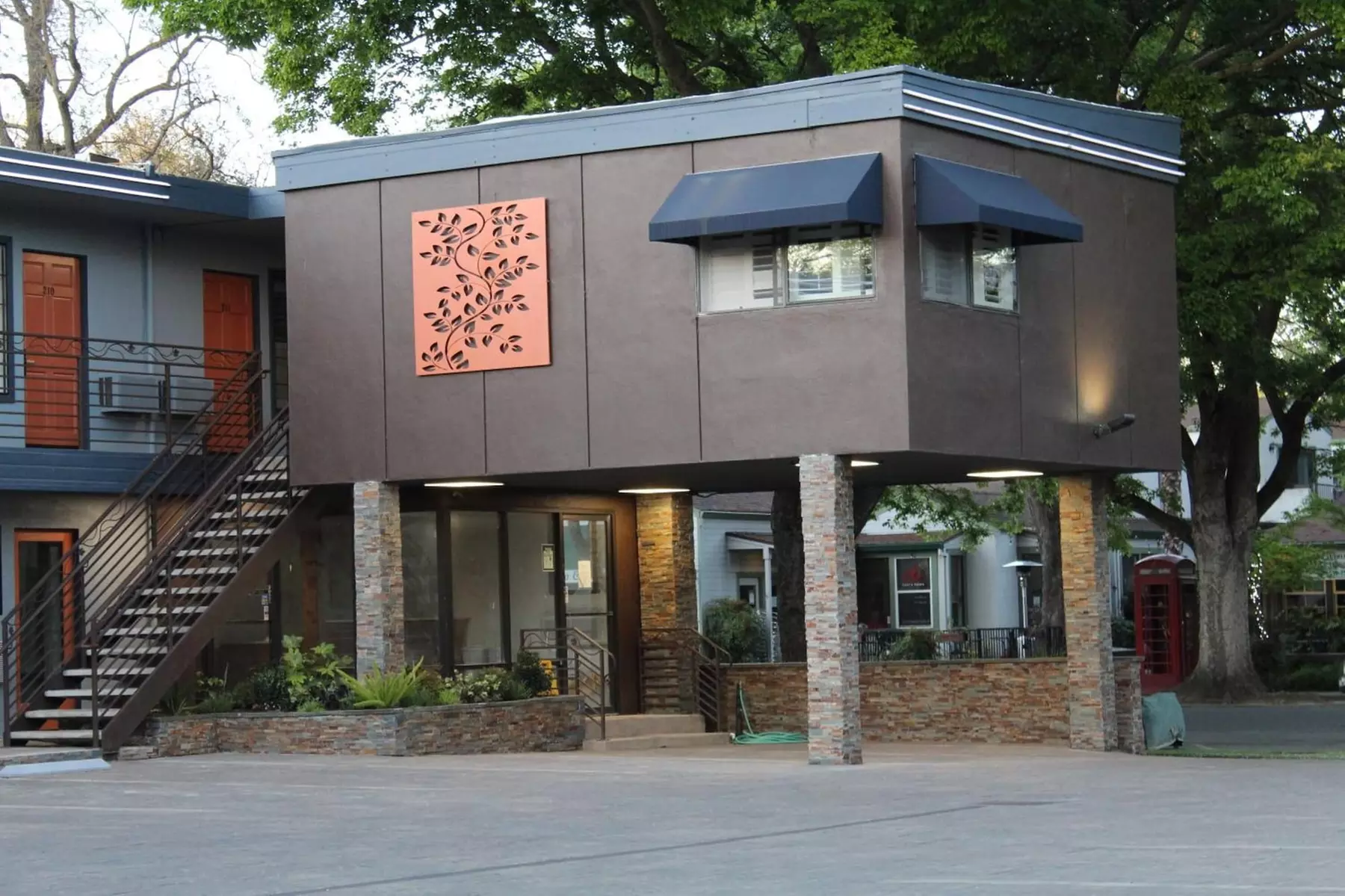 The Vine Inn Davis - Primary Image