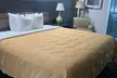 Quality Inn Rome South - Second Medium