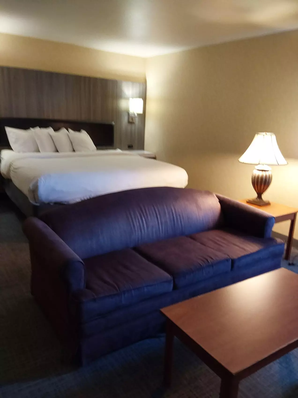 Lavissh Inn & Suites - Primary Image