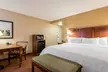 Hampton Inn & Suites Florence-North-I-95 - Second Medium