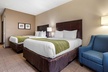 Comfort Inn & Suites Scott-West Lafayette - Second Medium