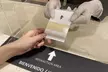 Emporio Reforma - Second Medium