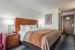 Quality Inn Denver Westminster - Second Medium