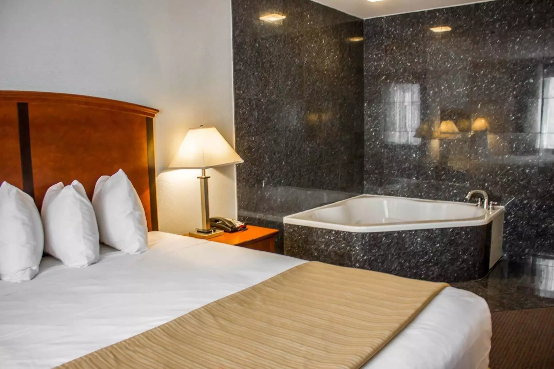 Quality Inn Long Island City - Queensboro Bridge - Primary Image