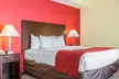 Comfort Suites Rock Hill Manchester Meadows Area - Second Medium