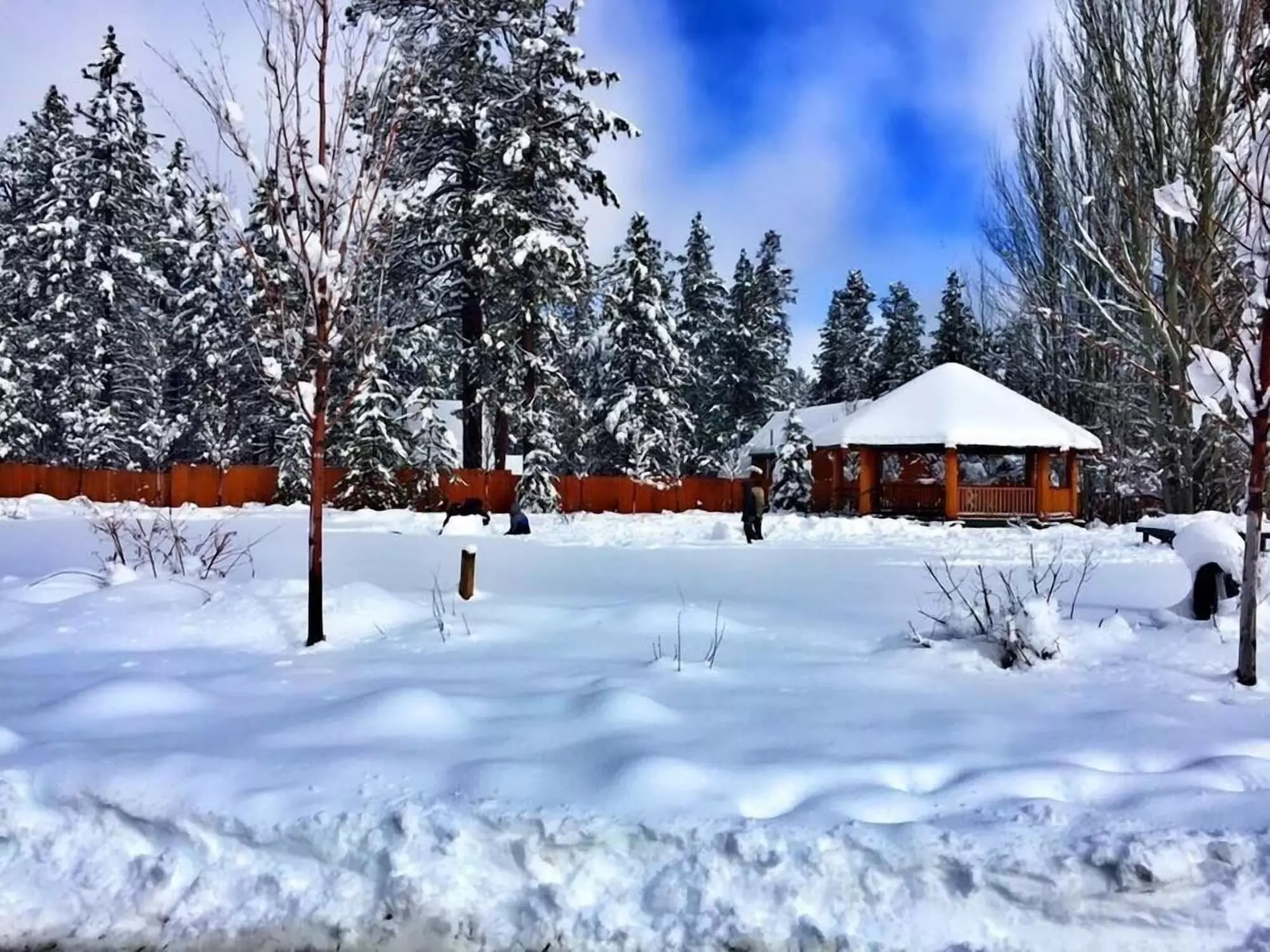 Bear Creek Resort - Primary Image