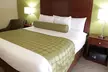 Cobblestone Inn & Suites - Marquette/Prairie du Chien - Second Medium