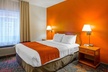 Comfort Inn & Suites University - Second Medium