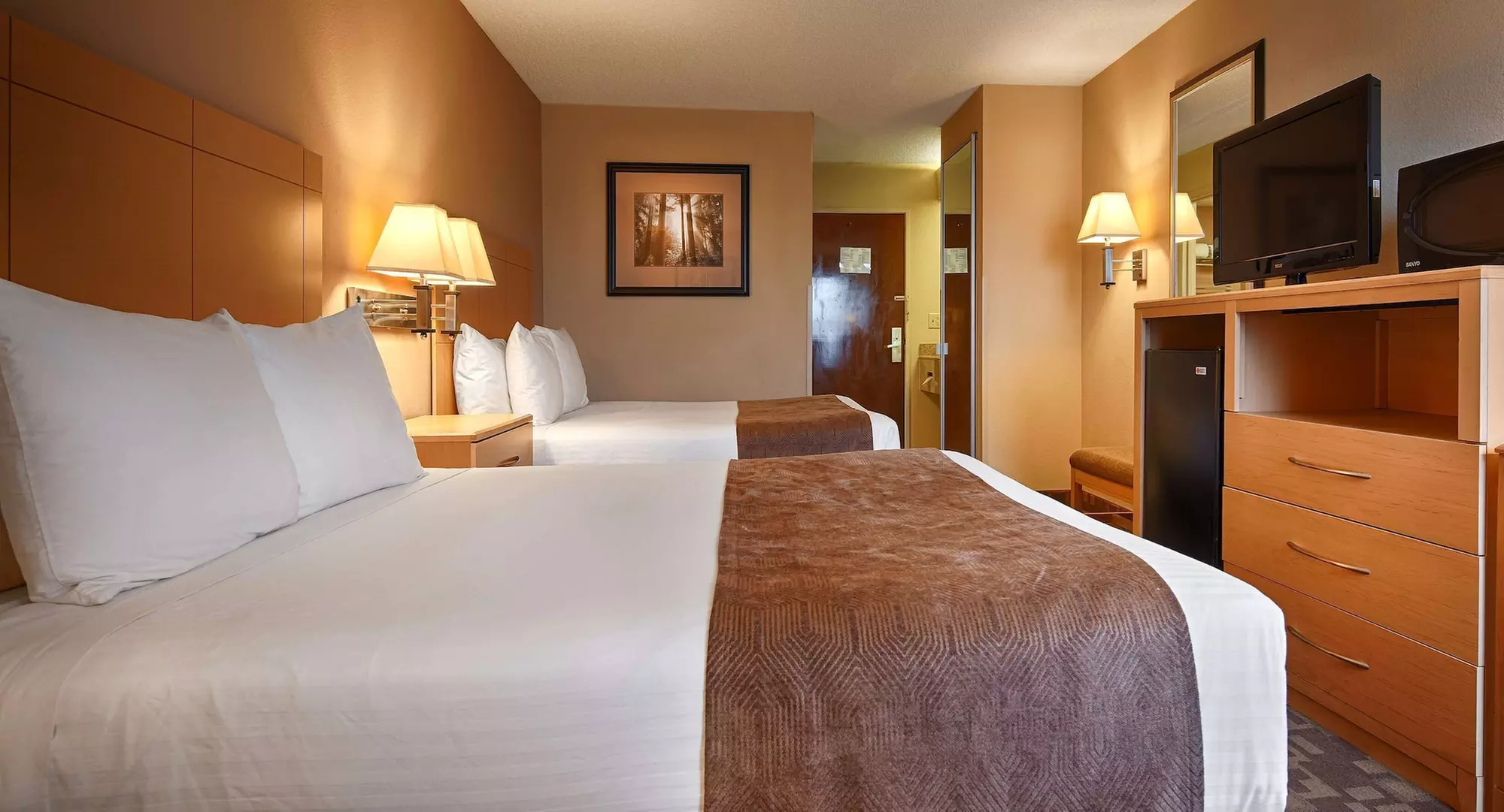 SureStay Plus Hotel by Best Western Roanoke Rapids I-95 - Primary Image