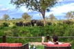 Hoyo Hoyo Safari Lodge - Second Medium
