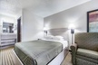 Bearcat Inn and Suites - Second Medium