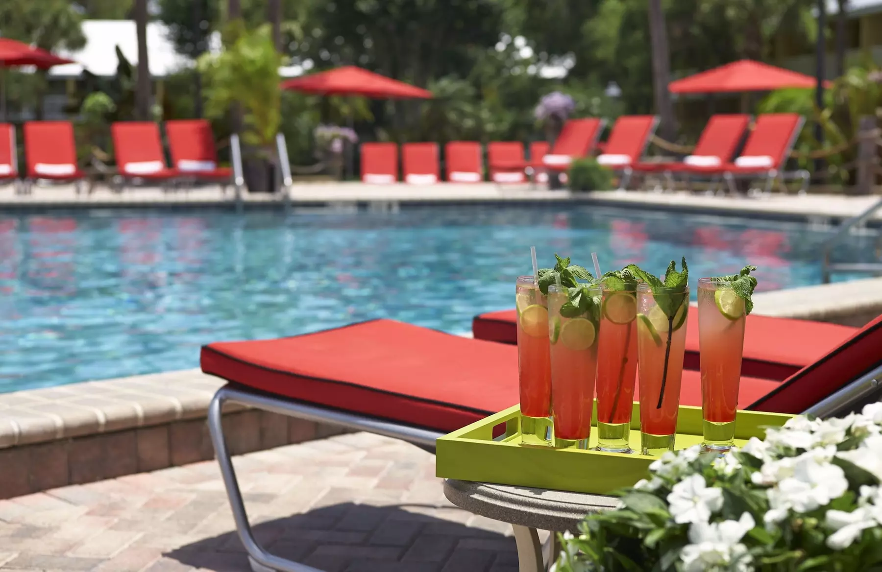 Wyndham Orlando Resort International Drive - Primary Image