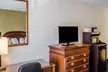 Quality Inn & Suites Pensacola Bayview - Second Medium
