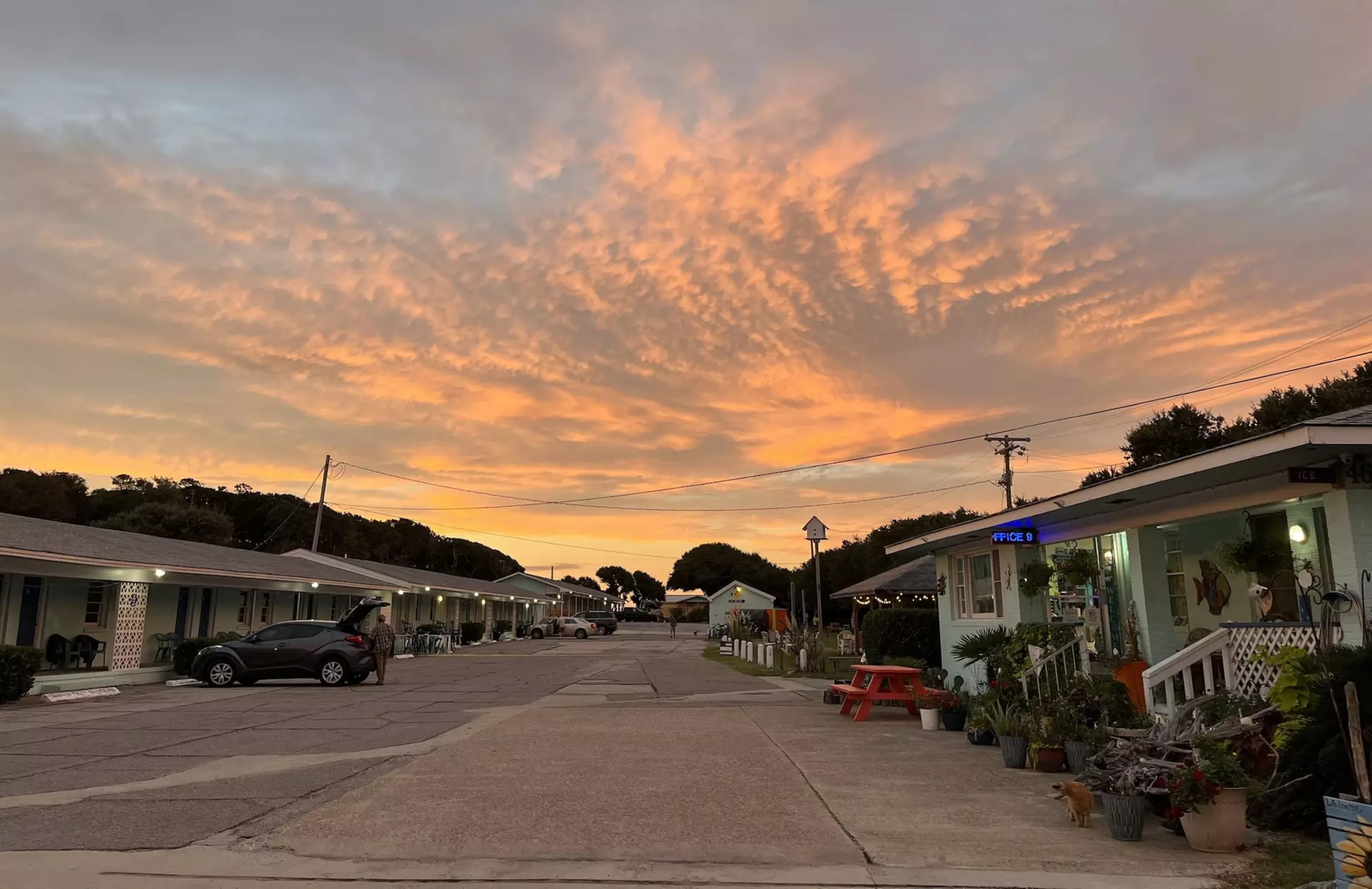 Swell Motel - Primary Image