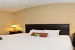 Hampton Inn Dade City - Zephyrhills - Second Medium