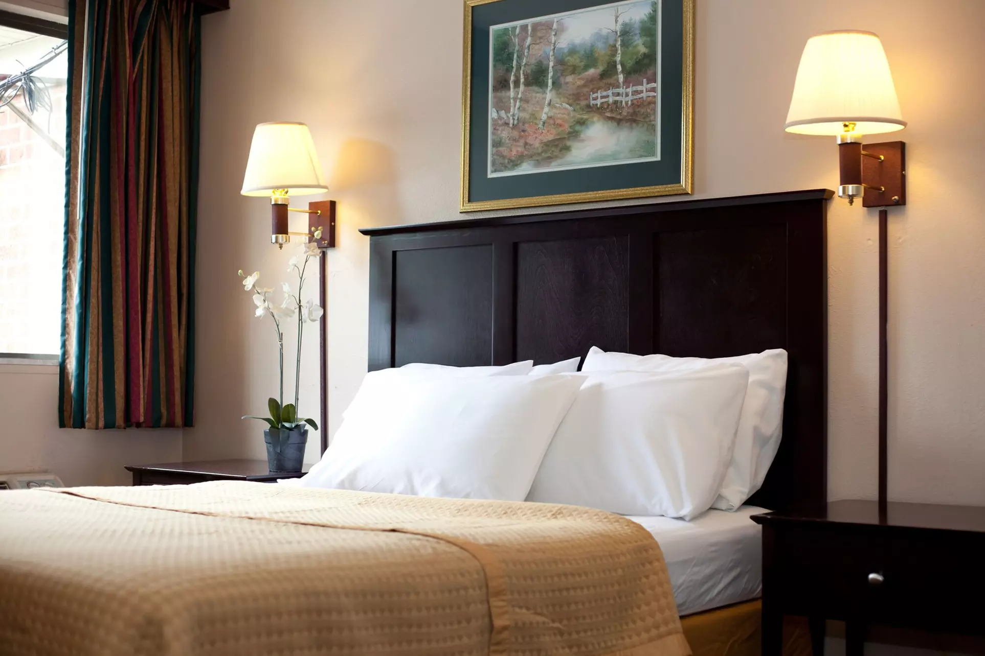 Timberlake Motel - Primary Image