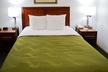 Quality Inn Yosemite Valley Gateway - Second Medium