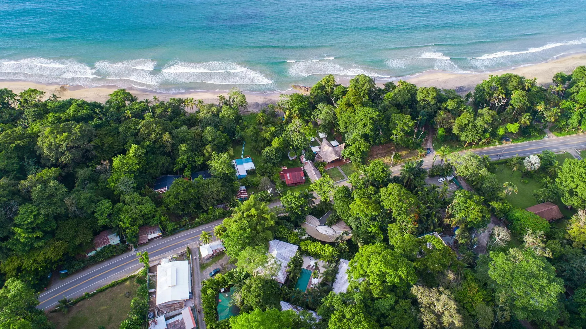 Le Cameleon Puerto Viejo - Primary Image