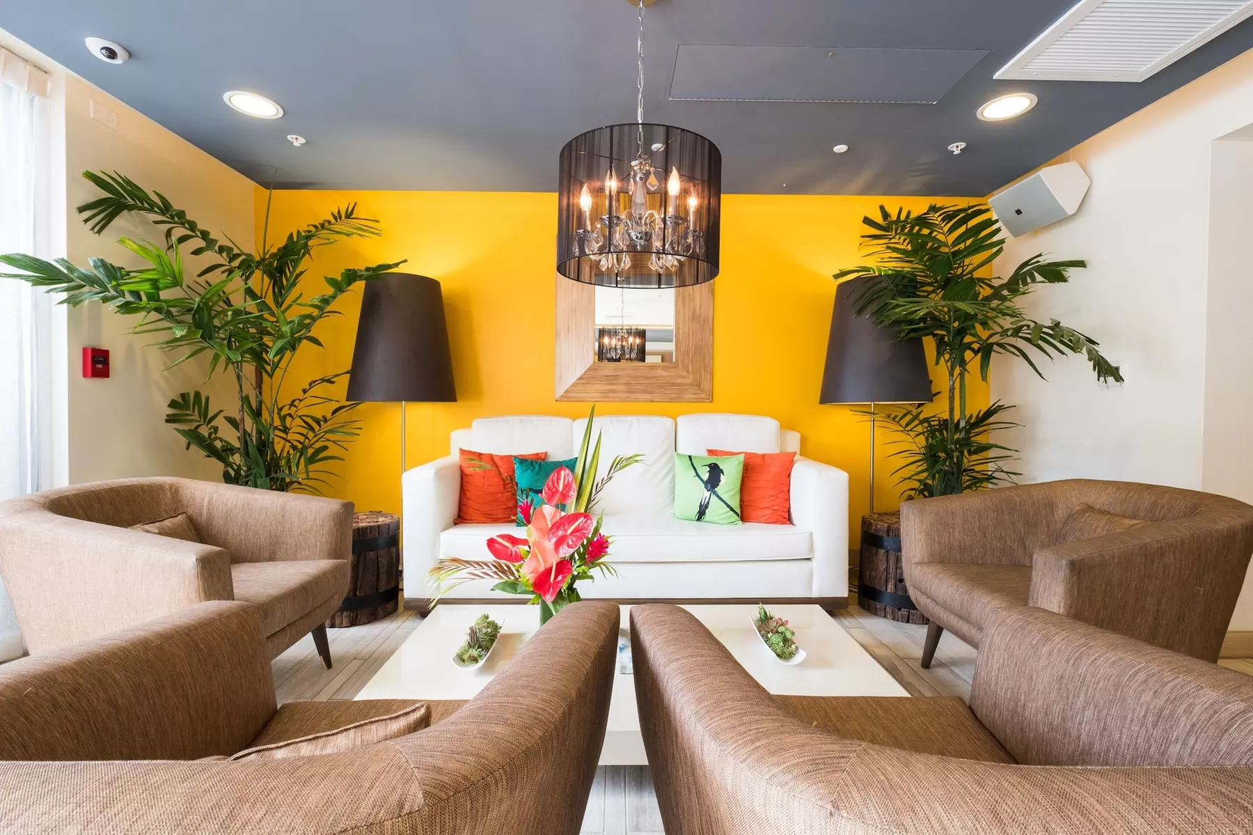 Vive Hotel Waikiki - Primary Image