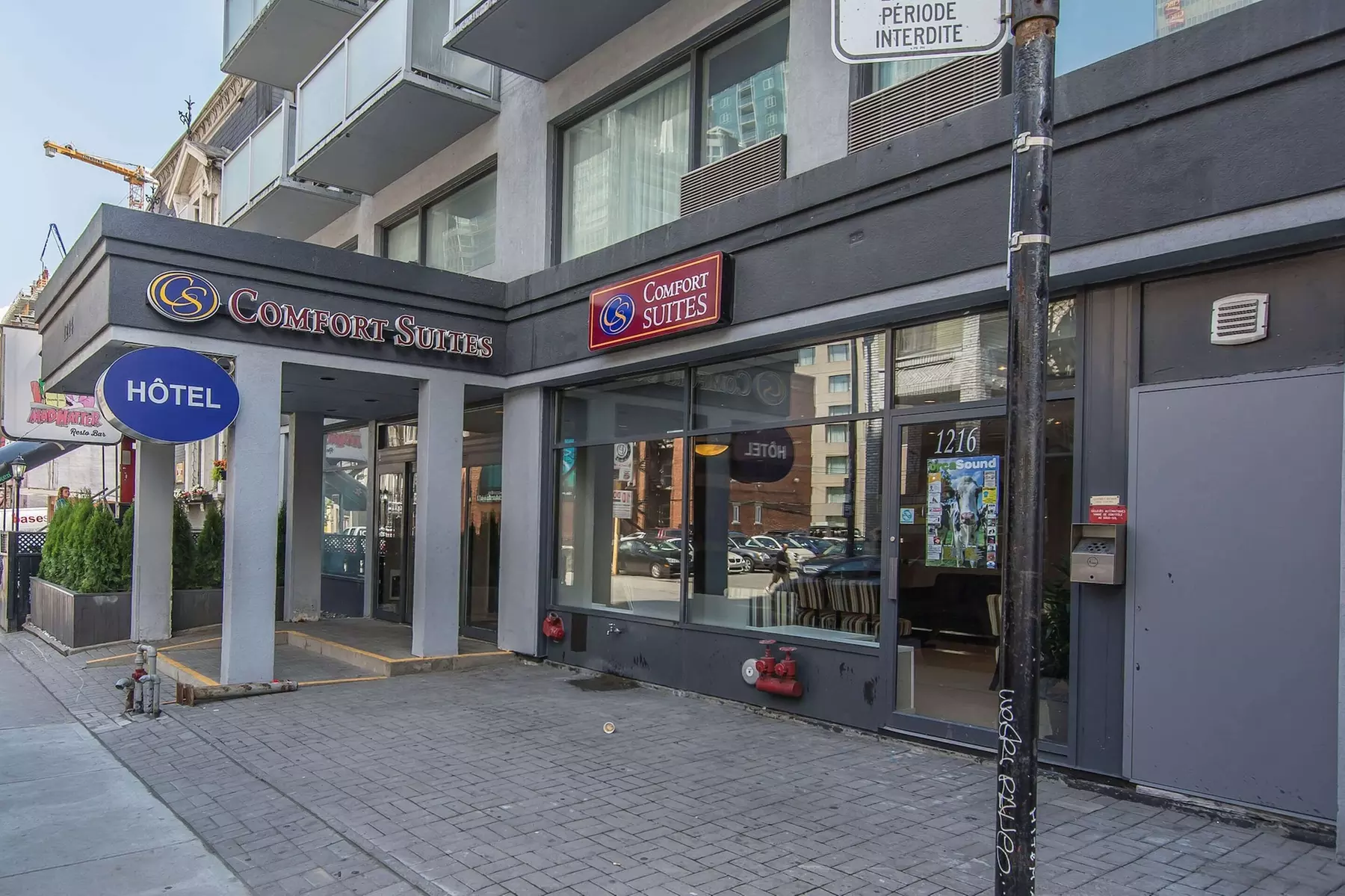 Comfort Suites Downtown - Primary Image