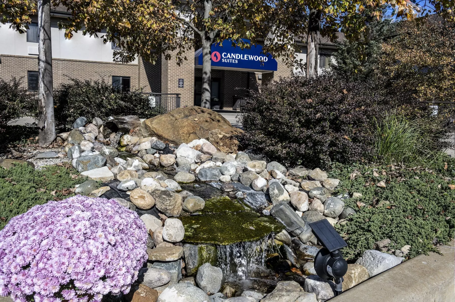 Candlewood Suites East Lansing by IHG - Primary Image