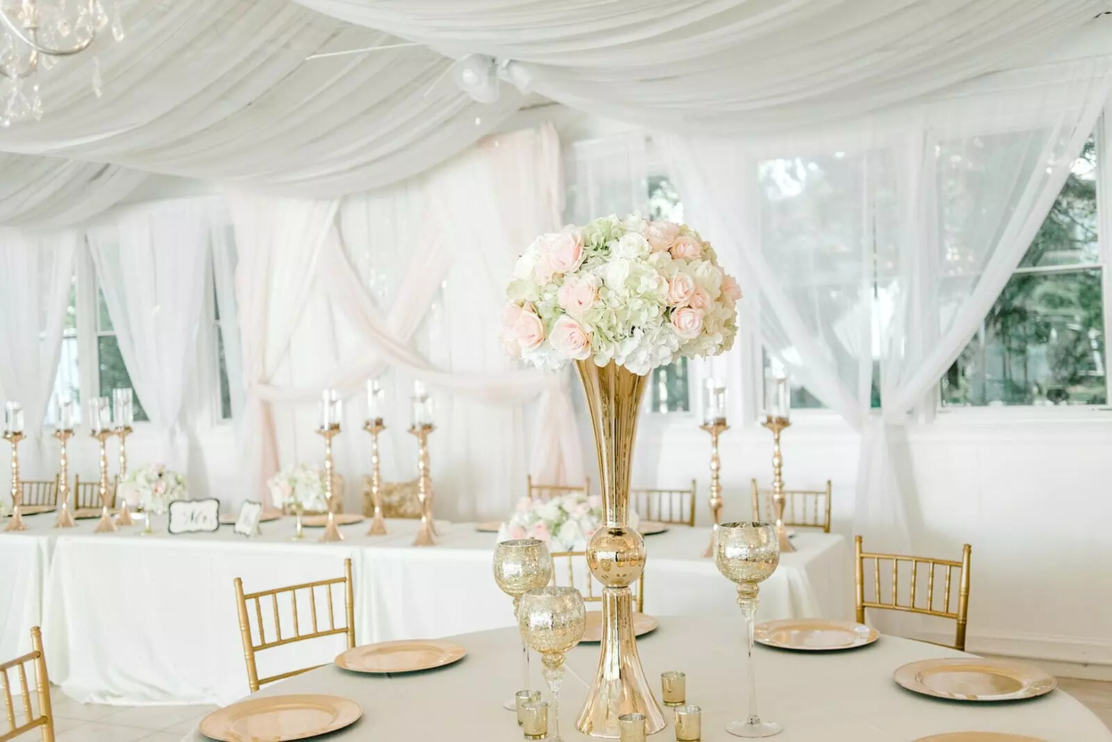 Georgia Palms & Gardens - Primary Image