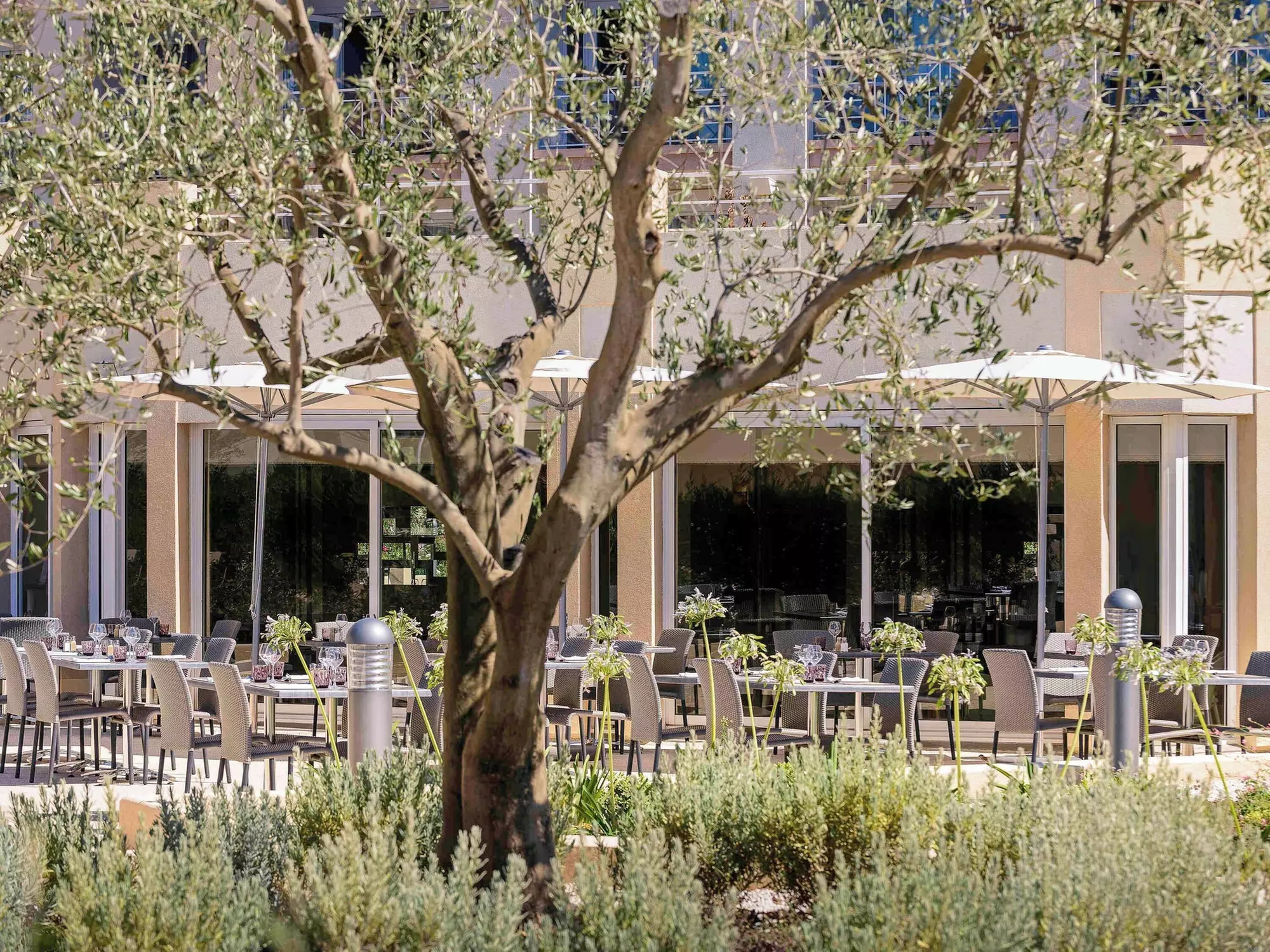 Mercure Thalasso and Spa Port Frejus - Primary Image