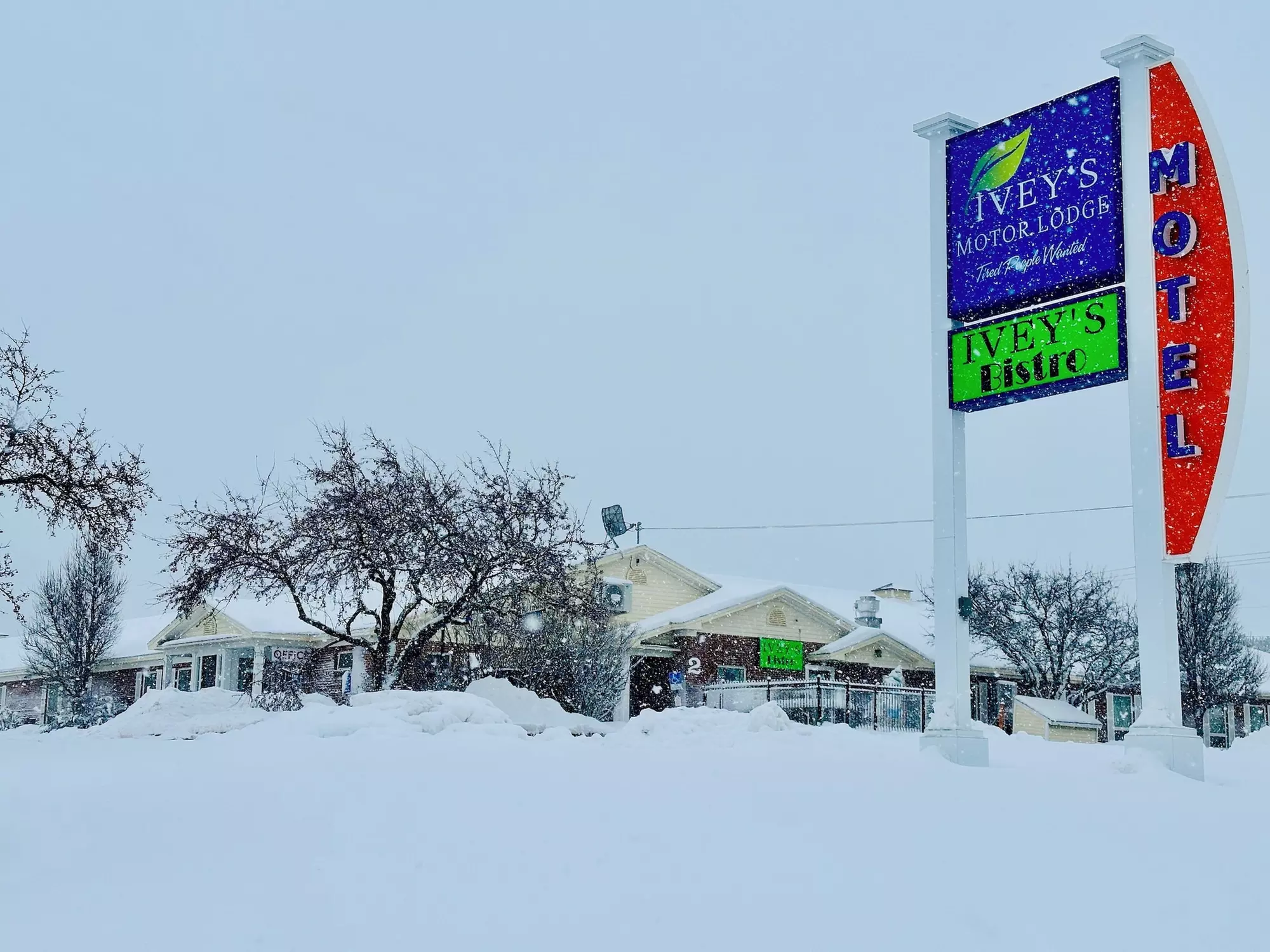 Iveys Motor Lodge Houlton - Primary Image