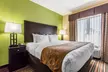 Comfort Suites Jackson I-40 - Second Medium