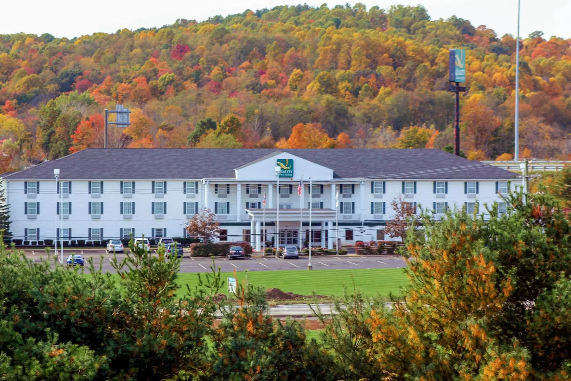 Quality Inn & Suites Bellville - Mansfield - Primary Image
