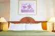 Quality Inn Delta Gateway to Rocky Mountains - Second Medium
