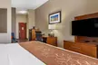 Comfort Suites Near Texas A&M University - Corpus Christi - Second Medium