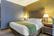 Comfort Suites Southgate-Detroit - Second Medium