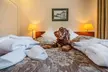 Grata by Centrum Hotels - Second Medium