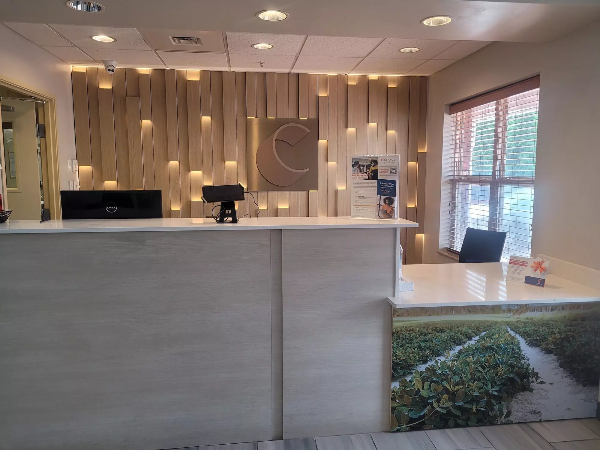 Comfort Inn & Suites - Primary Image