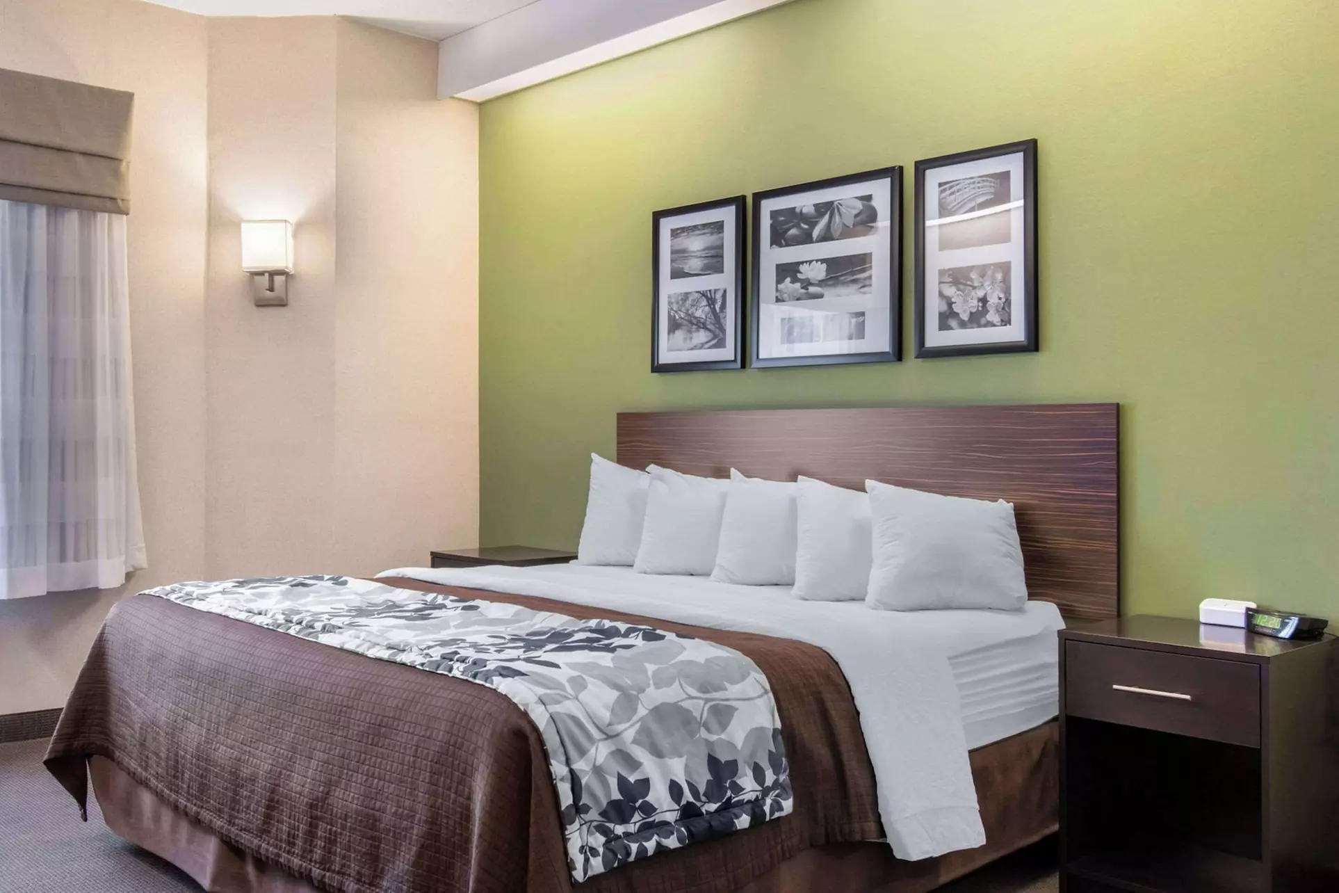 Sleep Inn Carlisle South - Primary Image