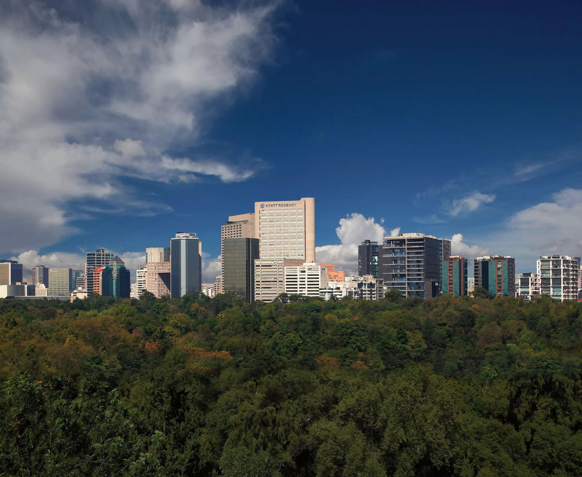 Hyatt Regency Mexico City - Primary Image