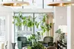 Woodlark Hotel Portland, a Tribute Portfolio Hotel - Second Medium
