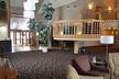 Best Western Indian Oak - Second Medium
