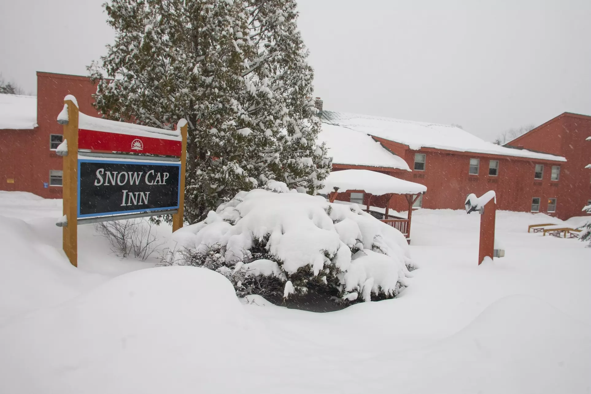 Snow Cap Inn - Primary Image