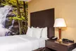 Clarion Pointe Harrisonburg - Second Medium