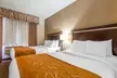 Comfort Suites London - Second Medium
