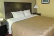 Quality Inn Williamston - Second Medium