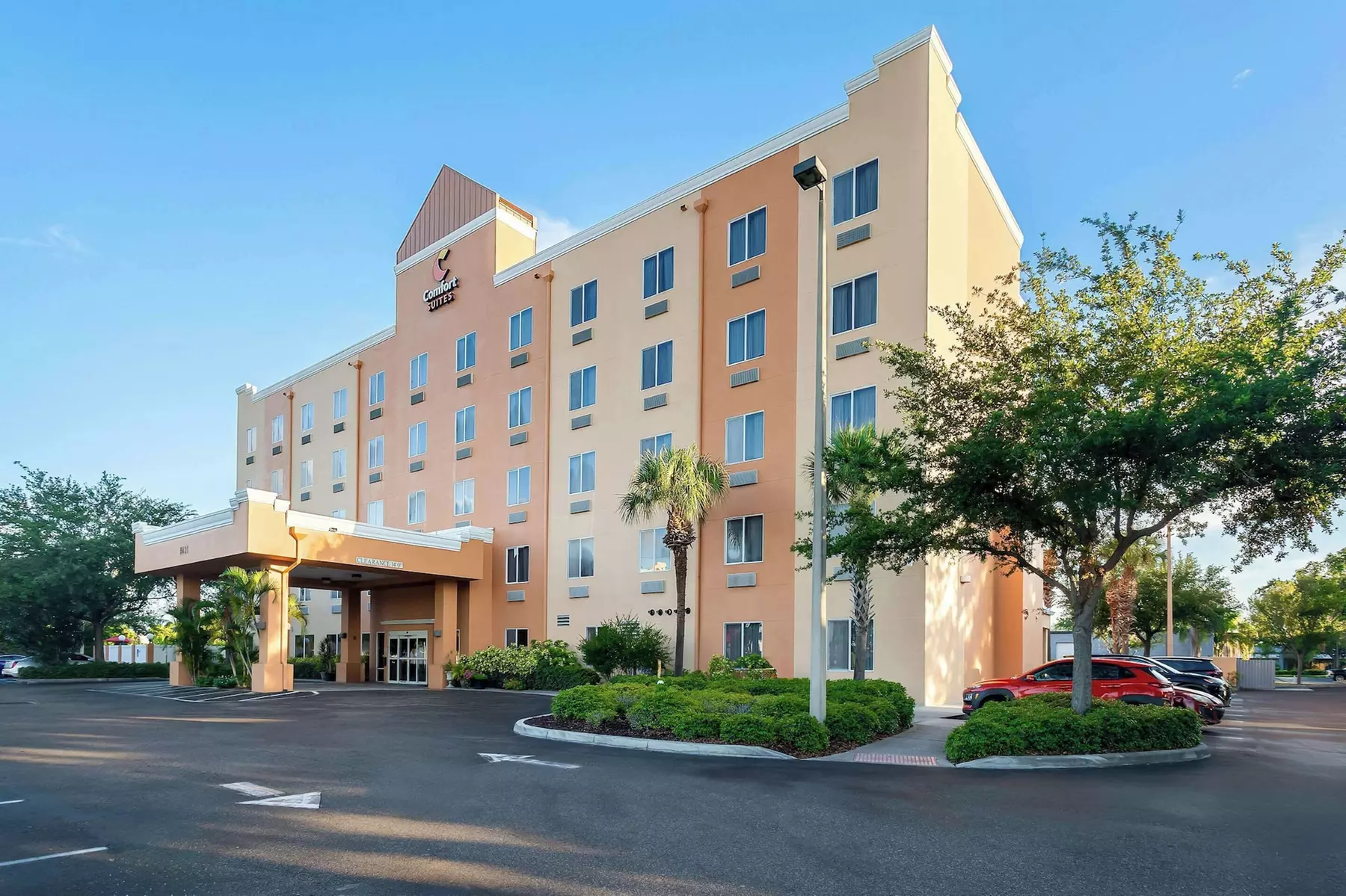 Comfort Suites Tampa Airport North - Primary Image