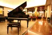 Hotel Diplomatic - Second Medium