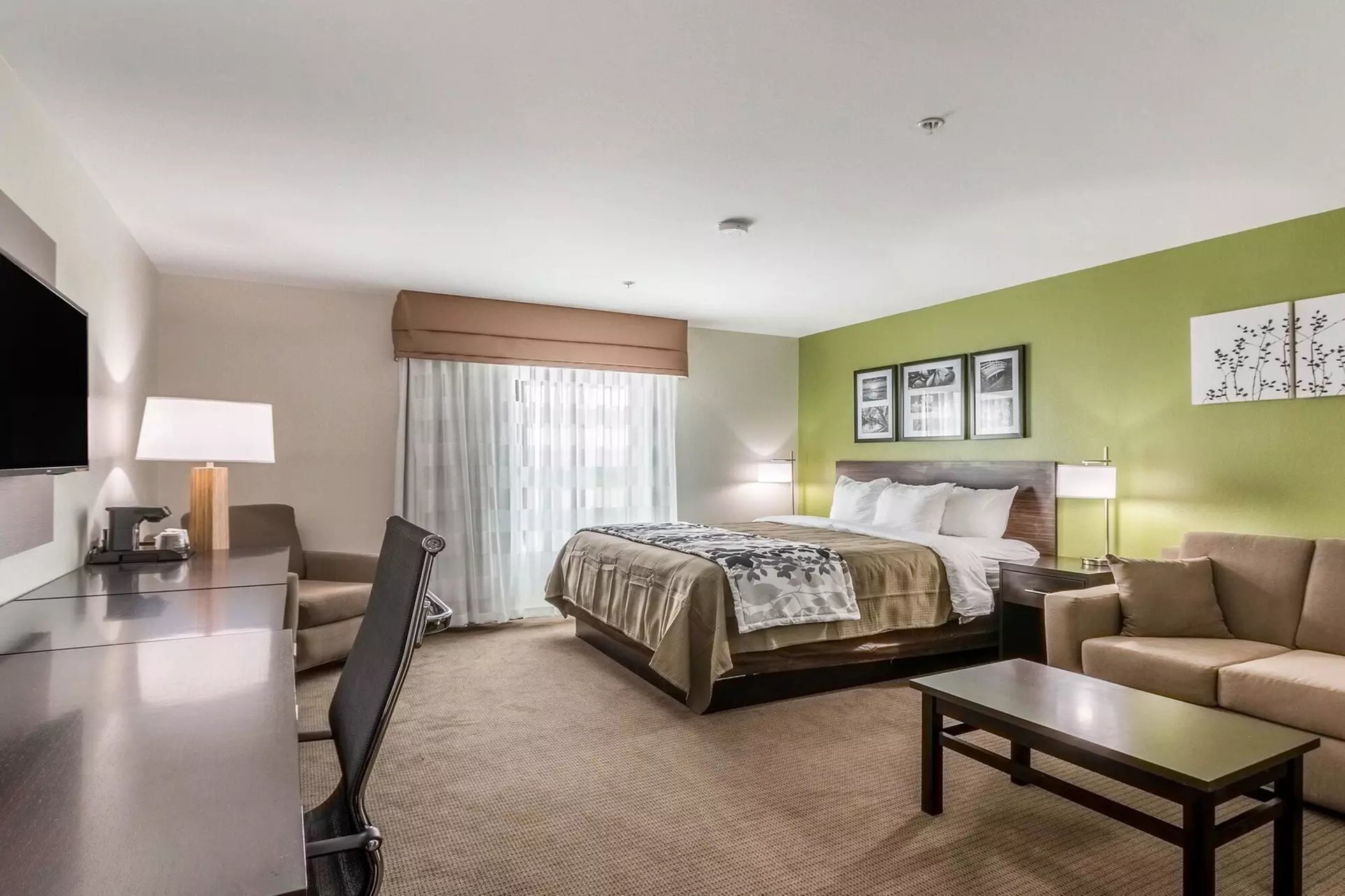 Sleep Inn & Suites College Station near University - Primary Image