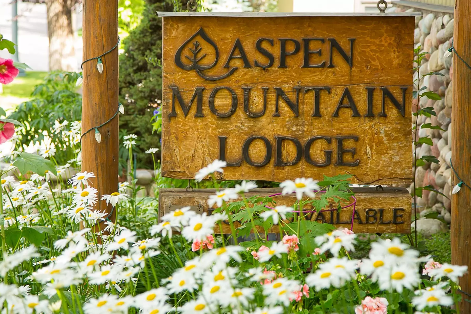 Aspen Mountain Lodge - Primary Image