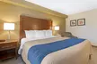 Comfort Inn - Second Medium