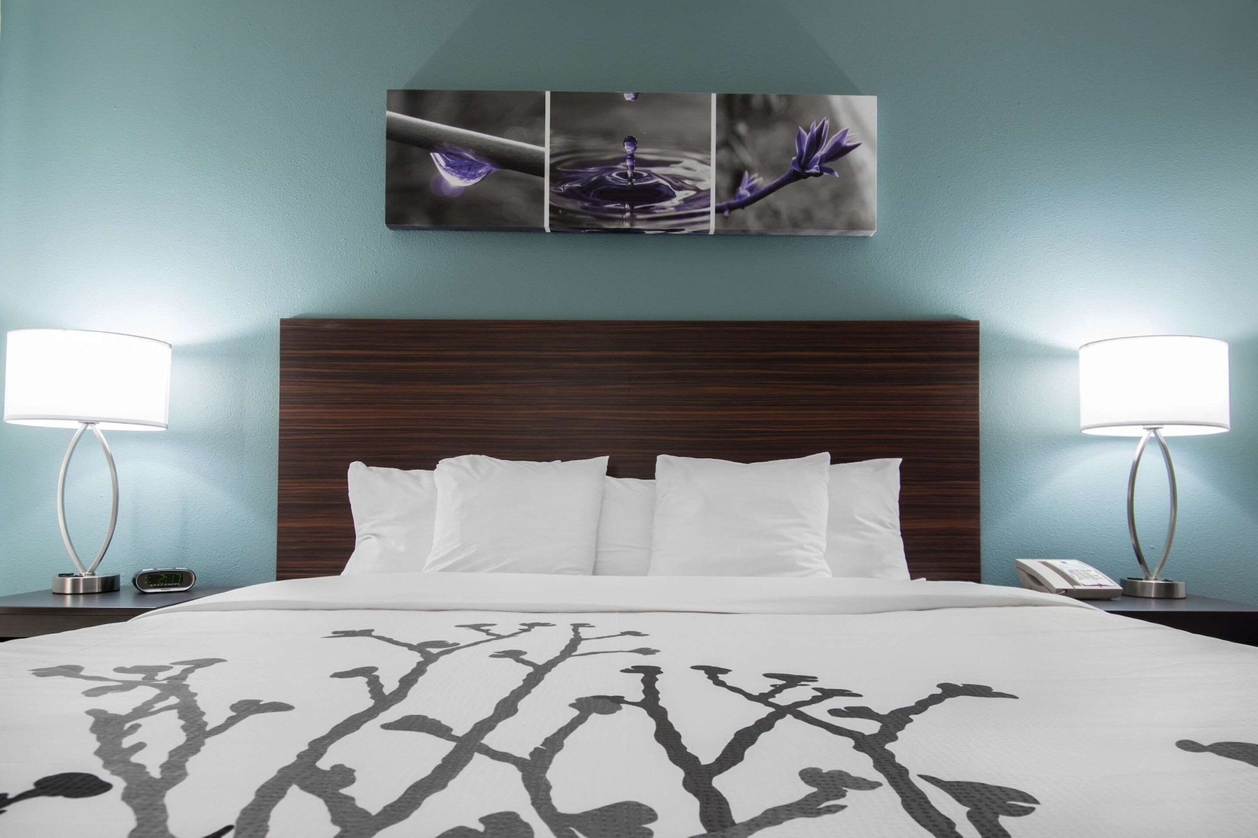 Sleep Inn & Suites Washington near Peoria