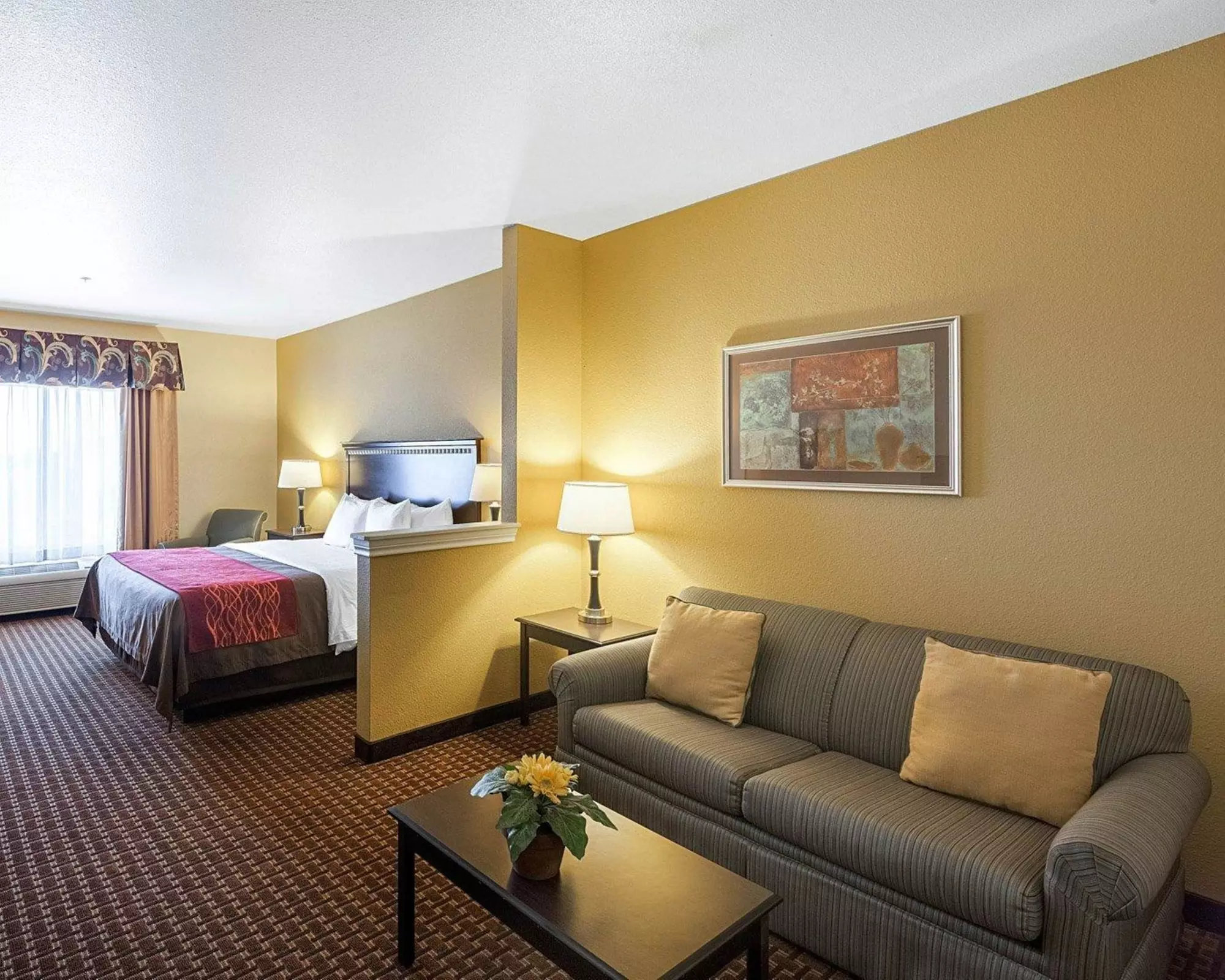 Comfort Inn & Suites Regional Medical Center - Primary Image